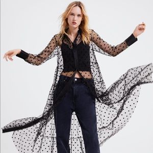 Zara sheer polka dress maxi